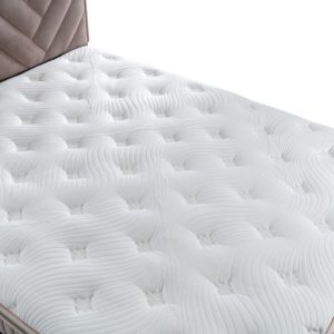 Alternative view of Saltea Trendy